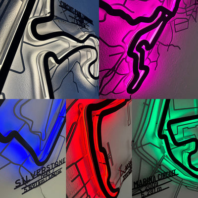 Circuit des 24 Heures du Mans Metal Wall Art